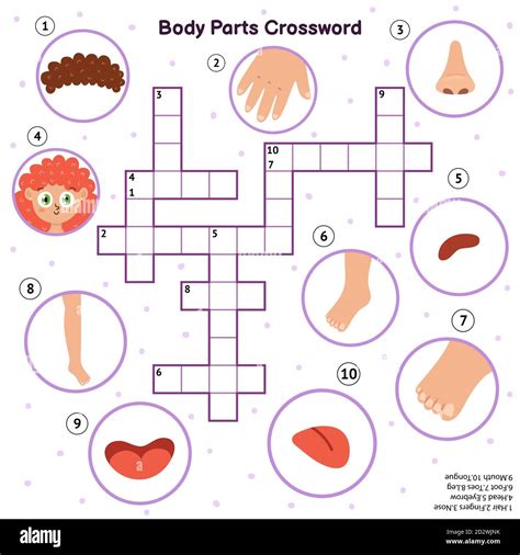 Print Crossword Puzzle Partes Del Cuerpo Lengua Partes Del Cuerpo Hot