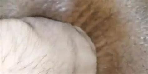 Delilah Greys St Anal Tnaflix