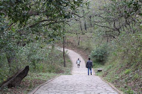 Sendero Camino Caminata Foto Gratis En Pixabay Pixabay