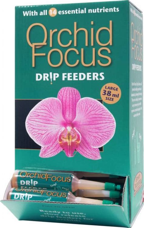 Orchid Focus Drip Feed Urban Jungle Plant Nursery