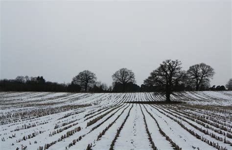 Winter fields - Free Stock Photo by paul clifton on Stockvault.net