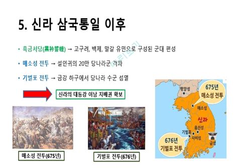 신라의 삼국통일 과정 및 의의인문사회레포트