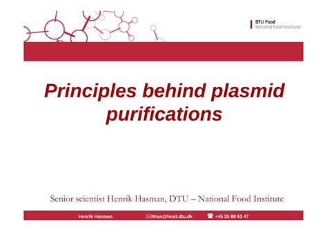 (PDF) Principles behind plasmidPrinciples behind plasmid purifications ...