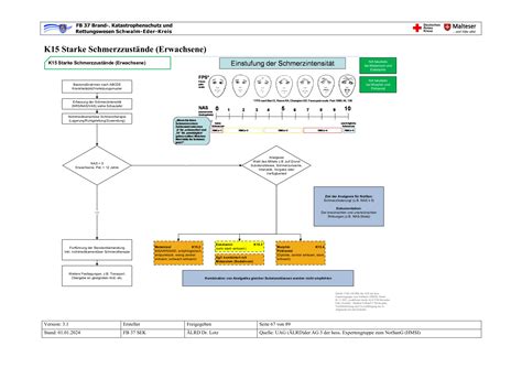 Starke Schmerzzustände Erwachsene Algorithmen Sop Easy