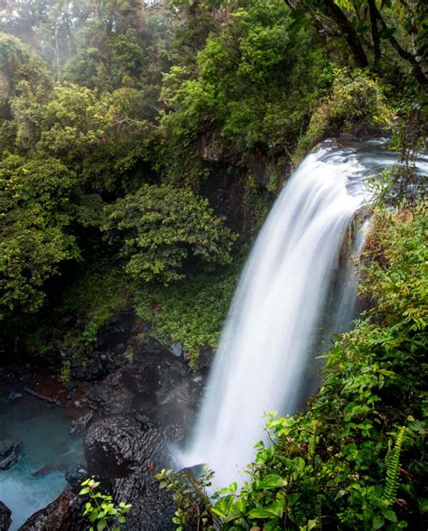 Best Waterfalls near Cairns: 17 Waterfalls You HAVE To See ⋆ We Dream ...