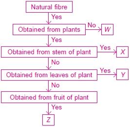 Prefer To The Given Flow Chart And Select The Correct Option Regarding