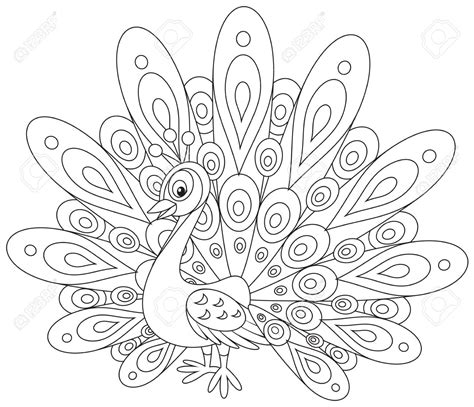 Peacock Outline Drawing at GetDrawings | Free download