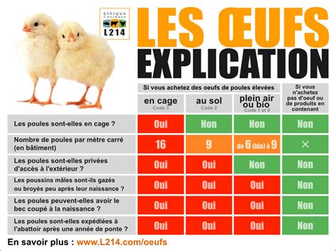 Oeufs Tableau Comparatif Des Diff Rents Modes D Levage Thique Et