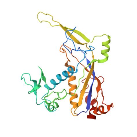 Rcsb Pdb O E Cryo Em Structure Of Csm Crrna Target Rna Ternary