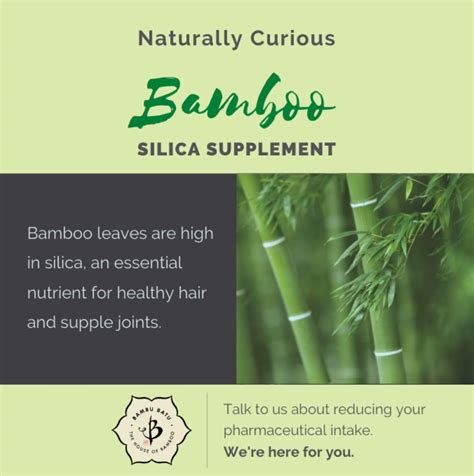 Bamboo and Silica: A beneficial supplement - Bambu Batu