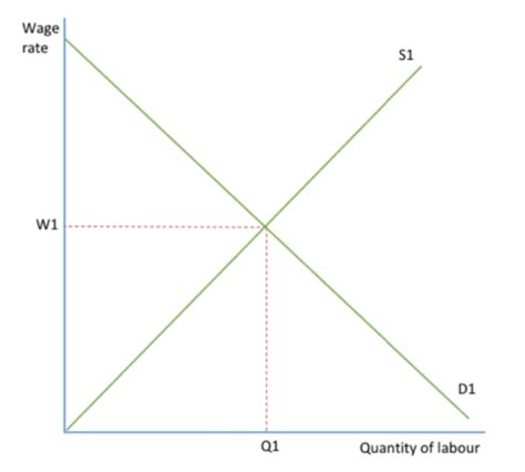 Red Mircroeconomics 3 5 Labour Markets Flashcards Quizlet