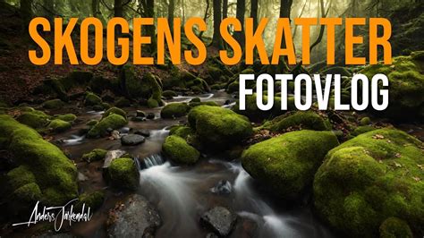 Skogens gömda SKATTER finns där man minst anar det Fotovlog YouTube