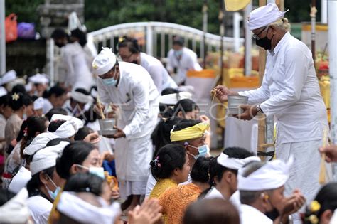 Perayaan Hari Raya Kuningan Di Bali Antara Foto