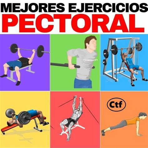 Mejores Ejercicios Para Pectoral Cambiatufisico Blog