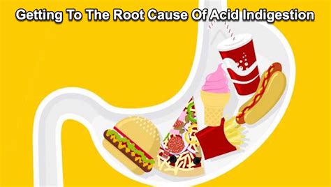 Getting To The Root Cause Of Acid Indigestion - Diet For Living School