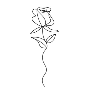 Rose Line Art Vector, Rose Liner, Rose Illustation, Rose PNG and Vector with Transparent ...