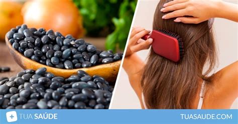 11 alimentos para queda de cabelo Tua Saúde