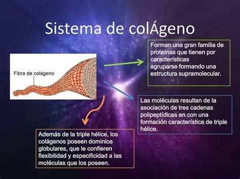 Matriz Extracelular PPT