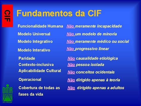 CIF Modelo De Funcionalidade Conceitos Da Classificao Internacional