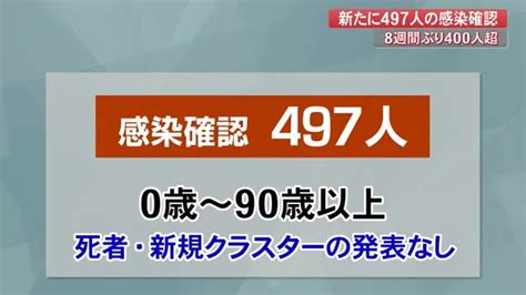 【詳報】8週間ぶりに400人超・高知県で新たに497人感染 感染拡大へ警戒【新型コロナ】 高知のニュース 高知さんさんテレビ