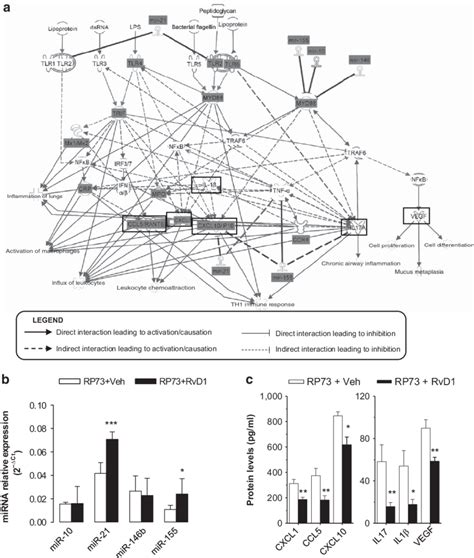 RvD1 Regulated Molecular Pathway Controlling Inflammation And