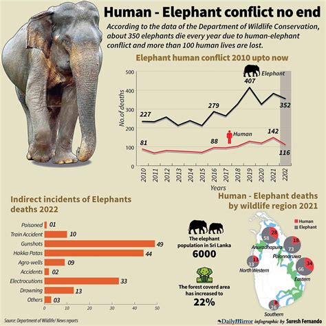 Human- Elephant conflict no end - Infographics | Daily Mirror