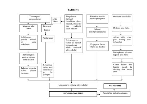 Pathway Syok Hipovolemik 029