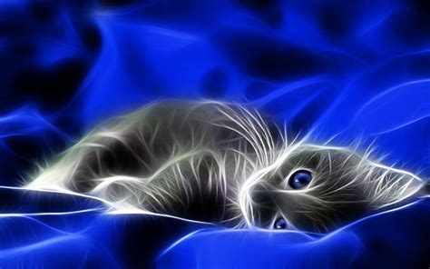 Animated Cat Desktop Wallpapers - Top Free Animated Cat Desktop ...