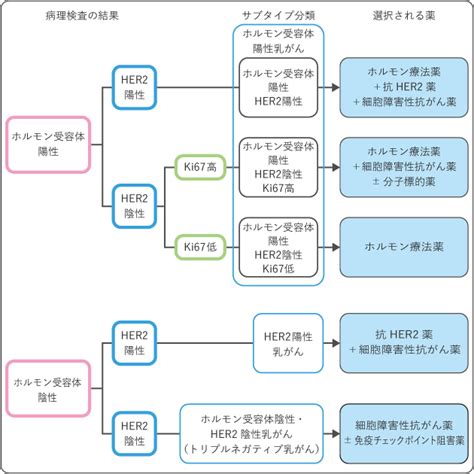 乳がん 治療： 国立がん研究センター がん情報サービス 一般の方へ