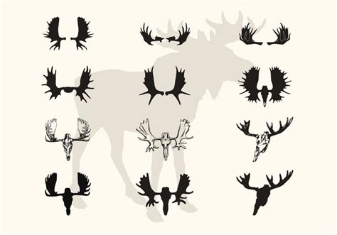 Moose Antlers Vector at GetDrawings | Free download