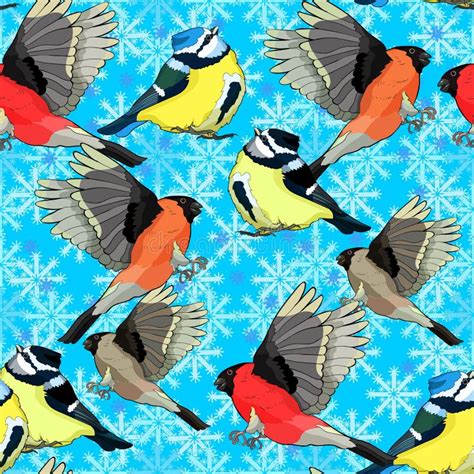 Seamless Pattern Bullfinch Bird Blue Tit Winter Vector Illustration