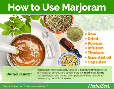 Marjoram Herbazest