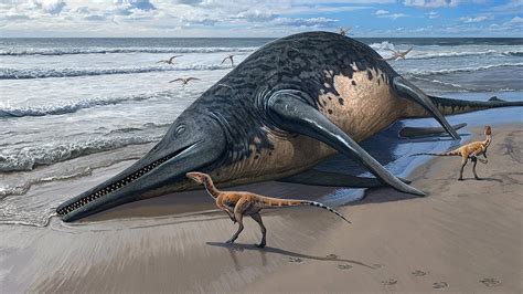 Somerset's giant sea monster! Huge ichthyosaur twice the size of a ...