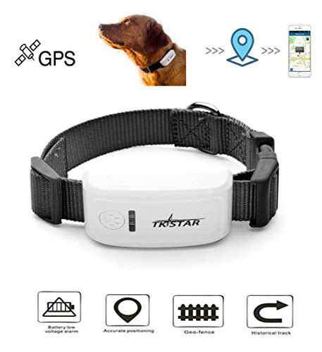 25 Best Dog GPS Collar Trackers and Cheap Alternatives (2019)