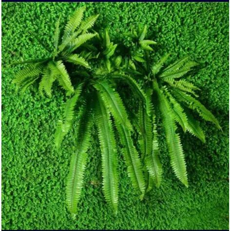 Jual Daun Pakis Sintetis Tanaman Hias Artificial Dekorasi Taman