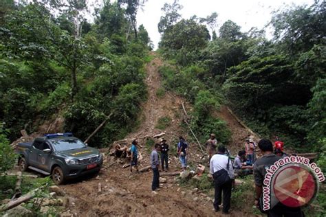 FOTO Ilegal Logging Di Kawasan Taman Nasional Gunung Leuser Leuser