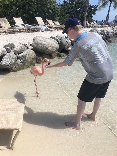 Aruba Flamingo post pt. 2 : r/Aruba