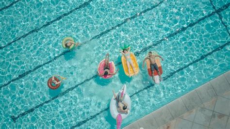 Top View of People in the Swimming Pool · Free Stock Photo