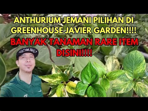 Bermacam Jemani Buruan Penggemar Vid Youtube