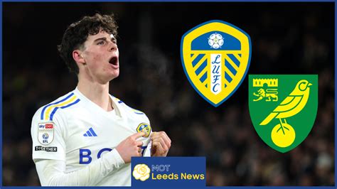 Pundits Wowed By Ridiculous Leeds United Gem Gray V Norwich