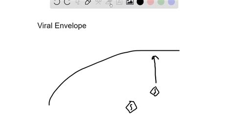 SOLVED:What is a viral envelope? Describe how it is made.