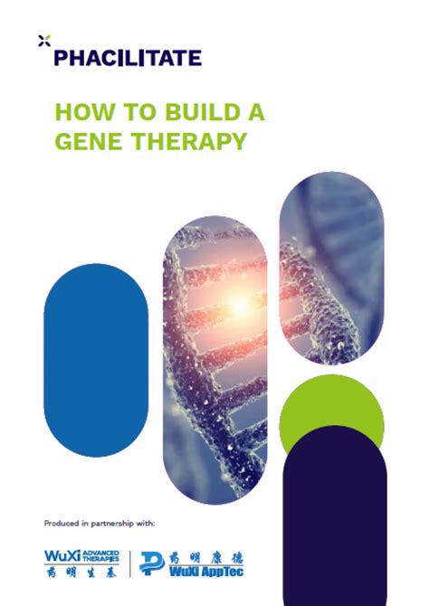 Gene Therapy Development From Start To Finish Phacilitate