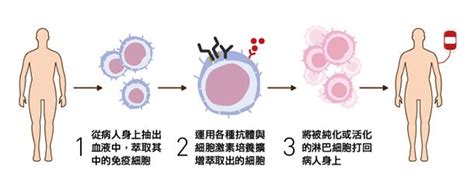 免疫抗癌最新趨勢一次掌握！台大細胞治療專家完整解析－與癌共處 愛、知識與勇氣－康健趨勢論壇