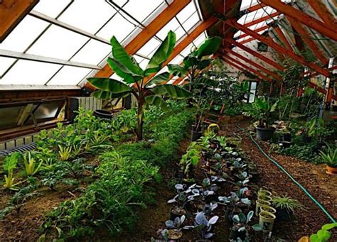 Build A $300 Underground Greenhouse “Walipini” That Grows Food Year ...