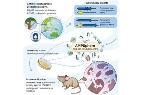 Largest Ever Antibiotic Discovery Effort Uses Ai To Uncover Potential