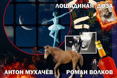 Лошадиная доза - слушать аудиокнигу онлайн | Мухачев Антон