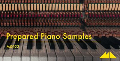 Prepared Piano Samples, ModeAudio, Royalty-Free Samples, Percussive