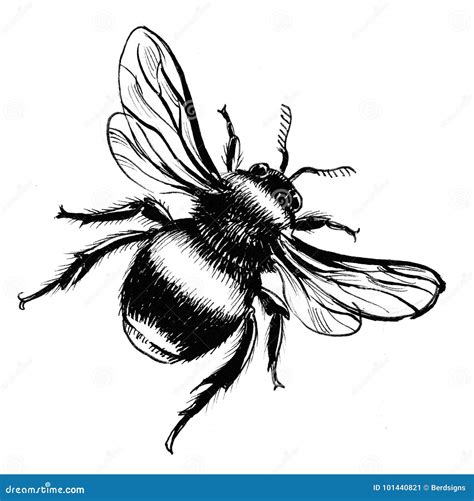 Bumblebee stock illustration. Illustration of nature - 101440821