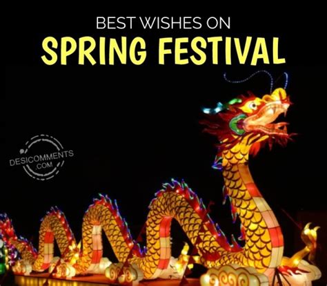 Best Wishes On Spring Festival - Desi Comments