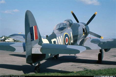 Hawker Sea Fury T20 Untitled Aviation Photo 1602134